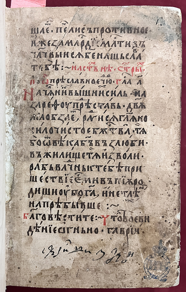 картинка